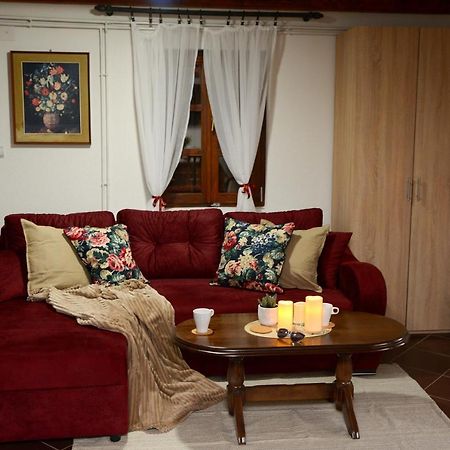 Villa Lek Za Dusu à Despotovac Extérieur photo